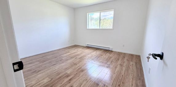 4 1/2 à louer 1200$/mois - Photo 2
