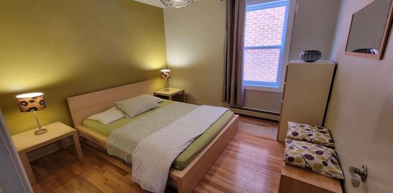 LIBRE - Magnifique logement 3 1/2 à louer meublé + jardin + stationnement gratuit - Photo 2