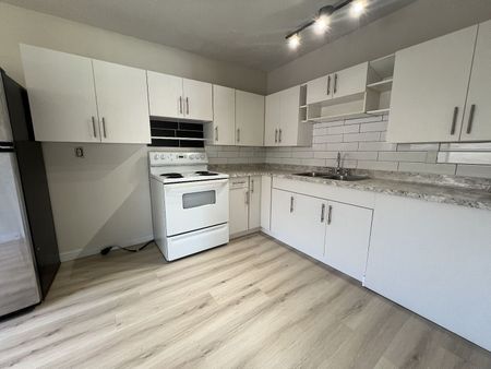 7714 34 Avenue Northwest, Calgary - Photo 5