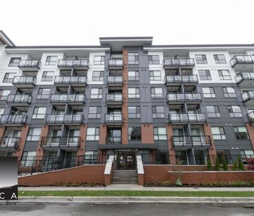 402-5504 Brydon Crescent, Langley - Photo 6