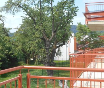 Grottenhofstraße sonnige 2ZI mit 9m² Süd/Balkon ruhig,hochwertig - Photo 1