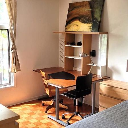 HAUT DE DUPLEX MEUBLÉ/iNTERNET-PETITE-PATRIE-M. D'IBERVILLE-UDM-HEC - Photo 3