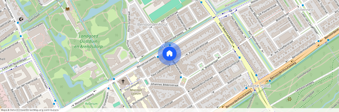 Van Hoytemastraat en omgeving, 2596 EP, Van Hoytemastraat, Den Haag