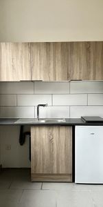 Location Appartement 1 pièce 15m² TOURCOING 59200 - Photo 3