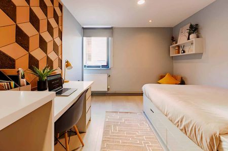 Classic Studio - Photo 5