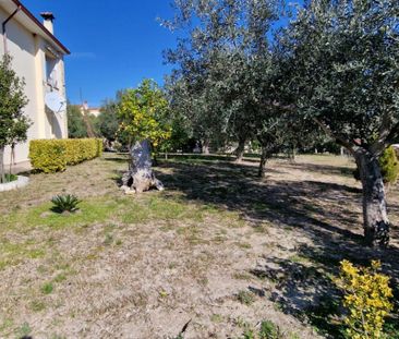 Μονοκατοικία για ενοικίαση Παλιούρι (Παλλήνη) - Photo 2