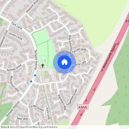 Blackthorn Walk, PO7 8RP