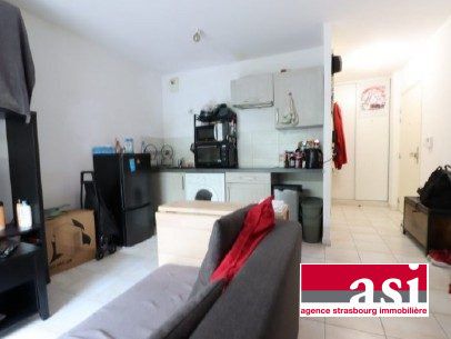 Schiltigheim centre : Studio avec Jardin - Photo 3