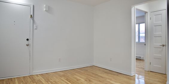 Appartement Rénové 1 Chambre à Louer - Photo 3