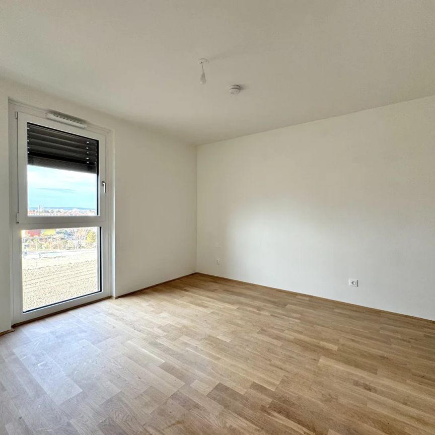 Gretls Garten – Miete mit Kaufoption – Erstbezug nahe Badeteich Hirschstetten - Photo 1