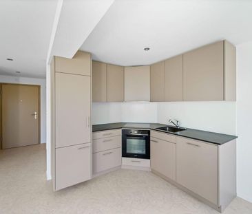 2.5 room apartment - Photo 2