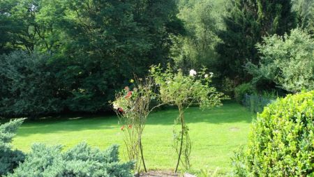 Charmante kleine Wohnung mit großzügiger, überdachter Terrasse mit Blick in die Natur - Foto 3