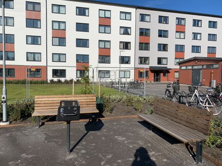 Tvistevägen, Umeå - Photo 4