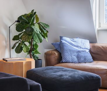 Nicely furnished roof terrace apartment in Au-Haidhausen - Foto 1