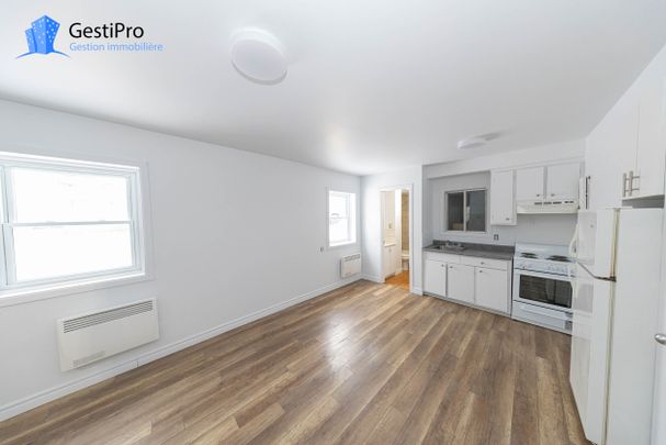 1835 Maufils - Photo 1