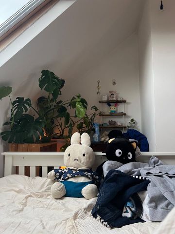 Room in a Shared House, Forres Road, S10 - Photo 5