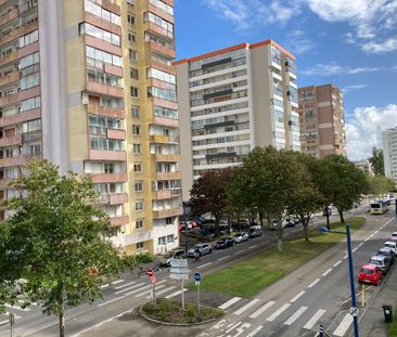 CHAMBRE COLOC BELLEVUE - Photo 3