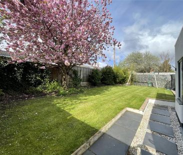 4 bedroom semi-detached house to rent - Photo 2