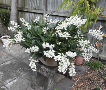 Redfern - Photo 6