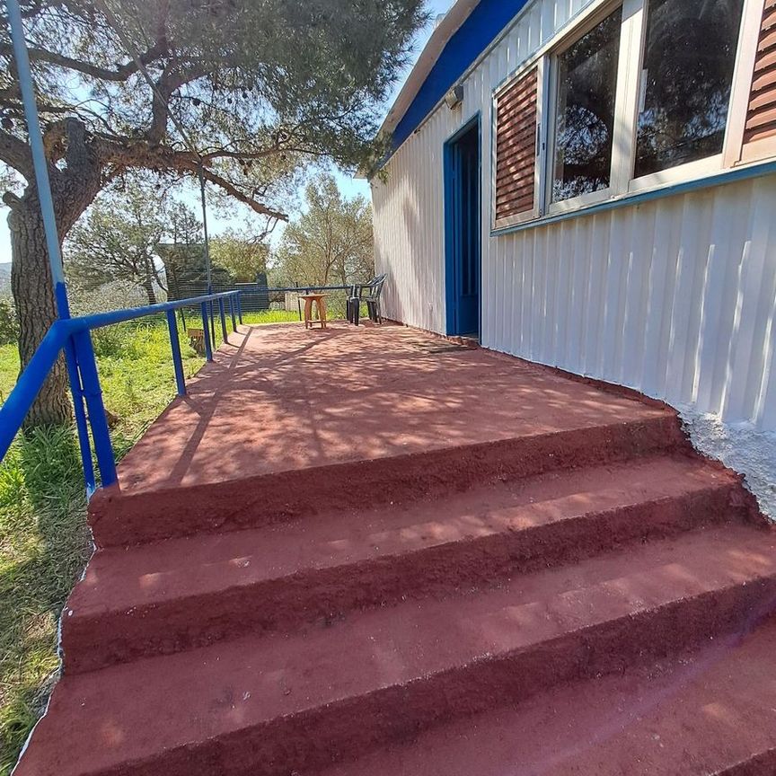 Μονοκατοικία για ενοικίαση Βραυρώνα (Αρτέμιδα (Λούτσα)) - Photo 1