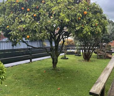 Charming Character Home in Te Kamo - Photo 3