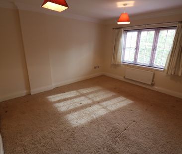 19 St. Marys Walk - Photo 3