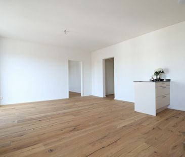 Moderne 2.5 Zimmer-Wohnung in ruhigem Quartier - Foto 1