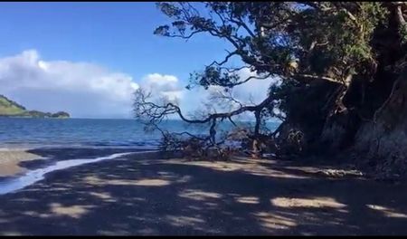 Beach front Airbnb home in Whangārei Heads - Photo 2