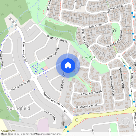 8 Eucalyptus Circuit, Springfield QLD 4300