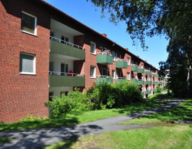 Doktor Liborius Gata 38 - Foto 1