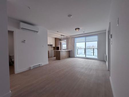 430 Boul. du Bord de l'Eau - Photo 2