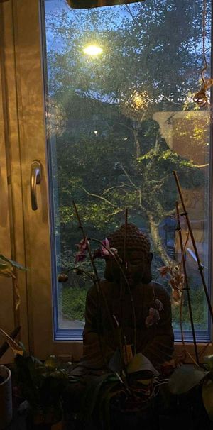 Kungsladugårdsgatan, Göteborg - Foto 1