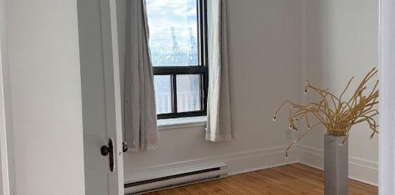 ✨ Bright 1 Bedroom Apartment – Hochelaga-Maisonneuve ✨ - Photo 2