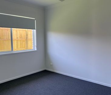 Modern & Stylish Newly Built Home in Bellbird Plac - Photo 6