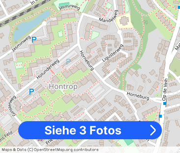 2-Zimmer Wohnung in Höntrop mit WBS - Foto 1