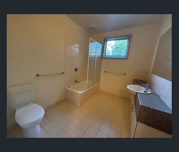 What A Find! - Photo 4