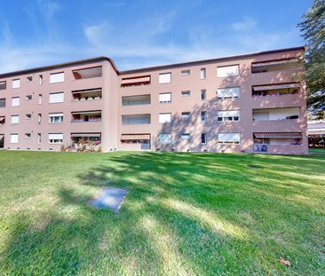 Tra natura e comodità: la soluzione ideale - Photo 4