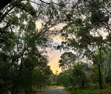 Willawong - Photo 6