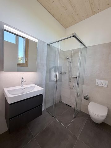 LICHTDURCHFLUTETER NEUBAU MIT GROSSEM GARTEN - Photo 3