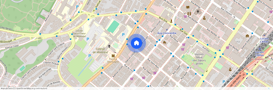 2205 Rue Saint-Marc - 5K, Montréal, QC H3H 2G9