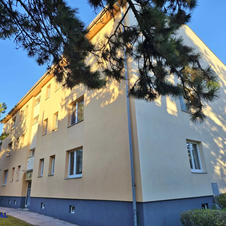 tolle 2 Zimmer Wohnung, extra Küche - Foto 1