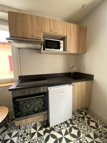 Location Appartement 1 pièce 16m² BRIGNAIS 69530 - Photo 2