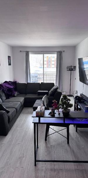 Repentigny -4 1/2 -1415$ - Piscine mai juillet - Photo 1