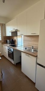 Location Appartement 2 pièces 45m² NICE 06300 - Photo 3