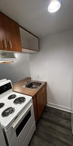 GHETTO MCGILL- STUDIO RENOVÉ & MEUBLÉ- EMPLACEMENT EXCEPTIONNEL - Photo 4