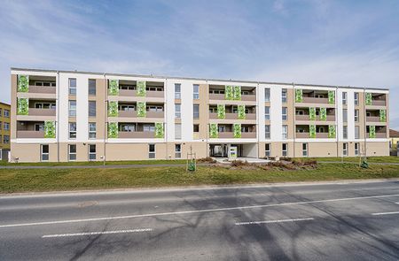 Wohnung in Horn - Foto 4