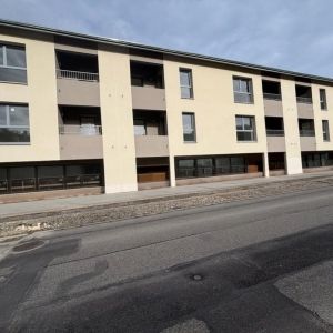 Location Appartement à DOISSIN - Photo 1