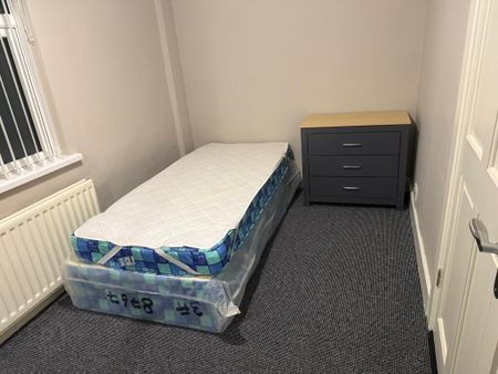 167 Ballynure Road, Ballyclare, BT39 9AJ - Photo 4