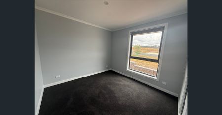 Be delighted, Living Here! - Photo 2