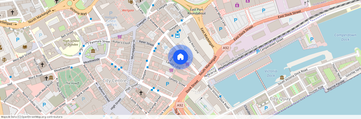 Allan Lane, City Centre, Dundee, DD1